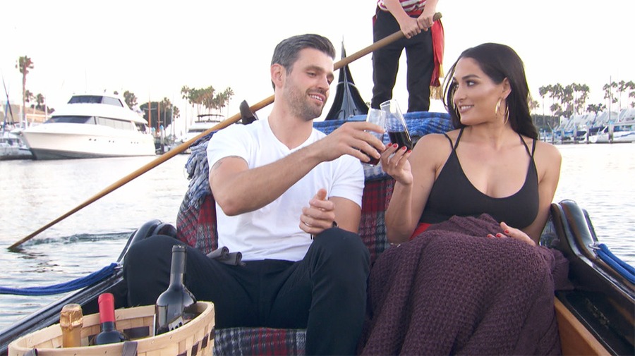 Total Bellas, Peter Kraus, Nikki Bella